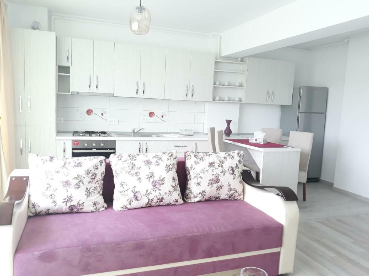 Apartament Coresi ブラショフ エクステリア 写真