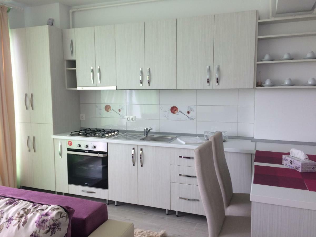 Apartament Coresi ブラショフ エクステリア 写真